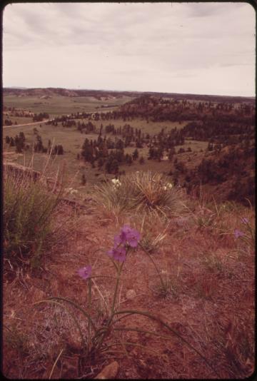 Montana ranch portrait