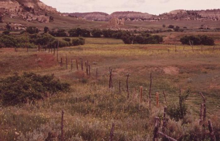Montana ranchlands with fence, scrub and hills